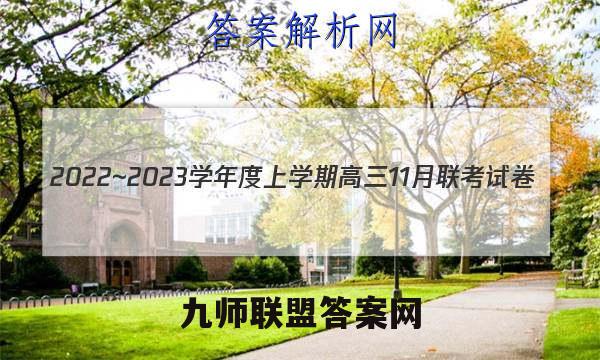 2022~2023学年度上学期高三11月联考试卷(233198D)数学答案