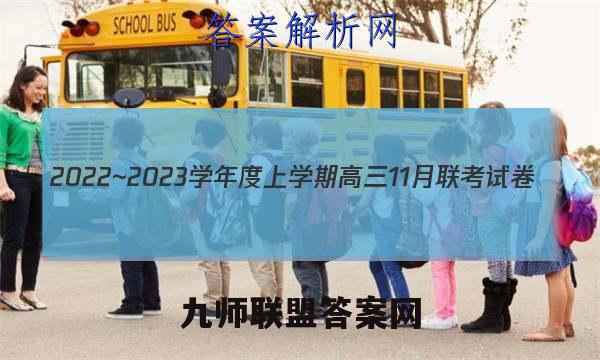 2022~2023学年度上学期高三11月联考试卷(233198D)数学试题答案
