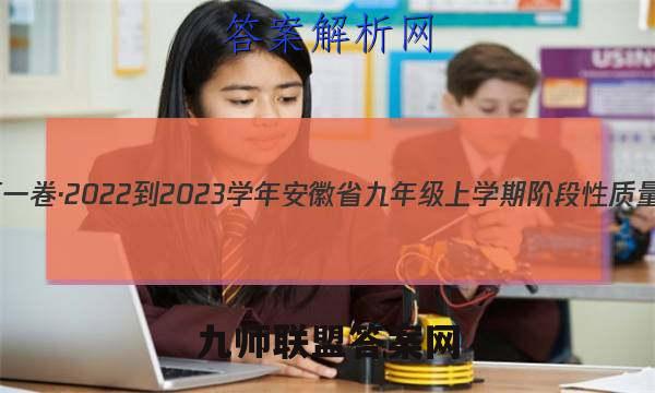 安徽第一卷·2022-2023学年安徽省九年级上学期阶段性质量监测(二)2数学答案