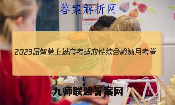 2023届智慧上进 高考适应性综合检测月考卷(四)4文科数学答案