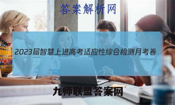2023届智慧上进 高考适应性综合检测月考卷(四)4理科数学试题答案