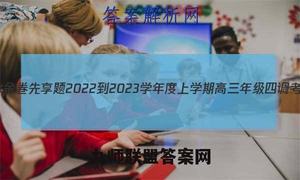 衡水金卷先享题 2022-2023学年度上学期高三年级四调考试(新教材·X)数学试题答案