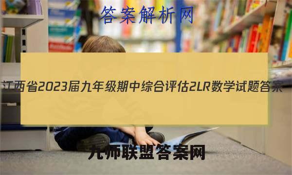 江西省2023届九年级期中综合评估 2L R数学试题答案