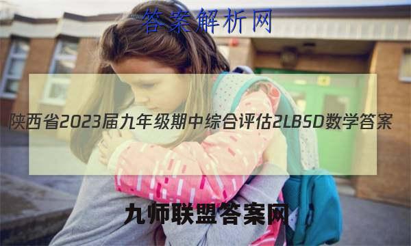 陕西省2023届九年级期中综合评估 2L BSD数学答案