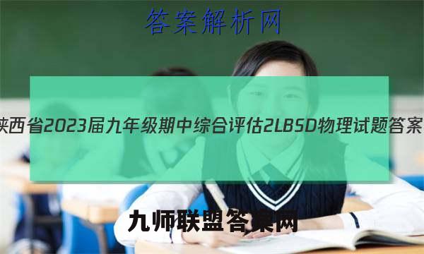 陕西省2023届九年级期中综合评估 2L BSD物理试题答案