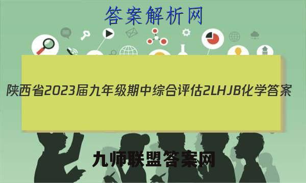 陕西省2023届九年级期中综合评估 2L HJB化学答案