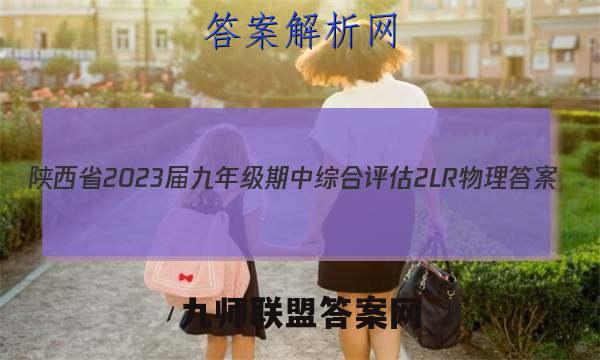 陕西省2023届九年级期中综合评估 2L R物理答案