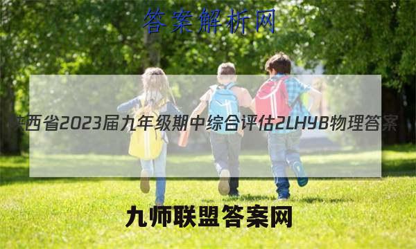 陕西省2023届九年级期中综合评估 2L HYB物理答案