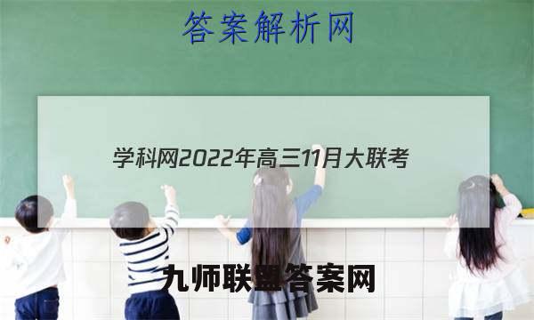 学科网2022年高三11月大联考(新高考卷)(新教材)地理试题答案
