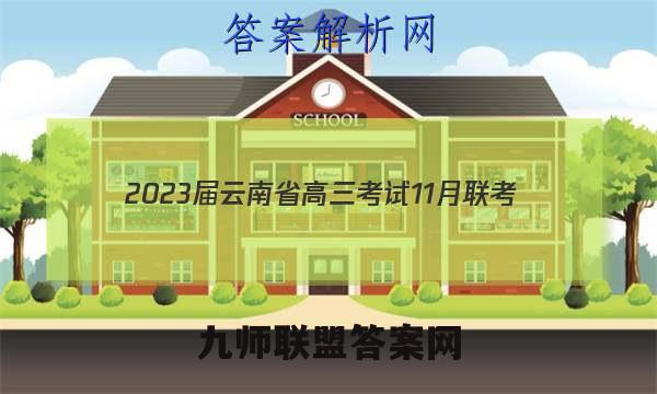 2023届云南省高三考试11月联考(905C·YN)数学试题答案