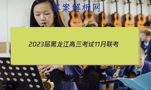 2023届黑龙江高三考试11月联考(904C·HLJ)数学答案
