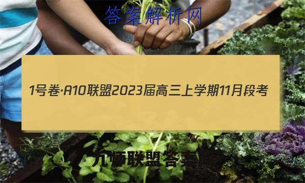 1号卷·A10联盟2023届高三上学期11月段考(江西11.24)语文试题答案