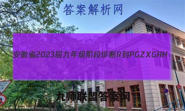安徽省2023届九年级阶段诊断 R-PGZX G AH(三)3化学答案