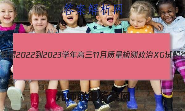 九师联盟 2022-2023学年高三11月质量检测政治XG试题答案
