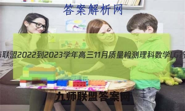 九师联盟 2022-2023学年高三11月质量检测理科数学LG答案