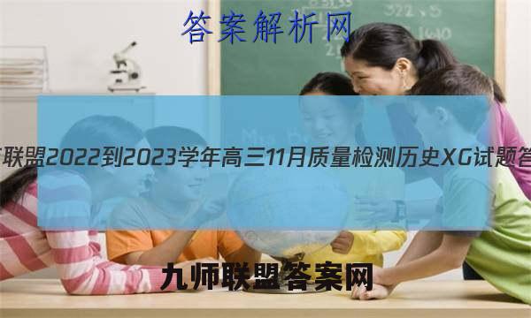 九师联盟 2022-2023学年高三11月质量检测历史XG试题答案