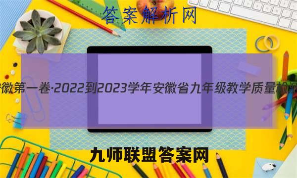 安徽第一卷·2022-2023学年安徽省九年级教学质量检测(三)3数学答案