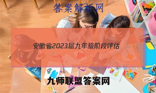 安徽省2023届九年级阶段评估(二) 3L R化学试题答案