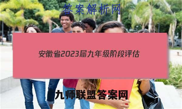 安徽省2023届九年级阶段评估(二) 3L R历史答案