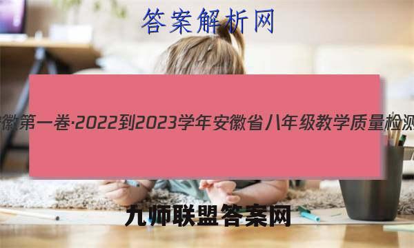安徽第一卷·2022-2023学年安徽省八年级教学质量检测(三)3数学(沪粤版)答案