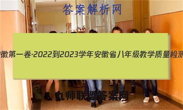 安徽第一卷·2022-2023学年安徽省八年级教学质量检测(三)3数学答案