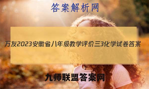 万友 2023安徽省八年级教学评价三3化学试卷答案(更新中)