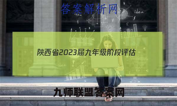陕西省2023届九年级阶段评估(二) 3L R化学答案