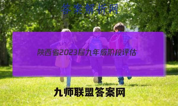 陕西省2023届九年级阶段评估(二) 3L R历史试题答案
