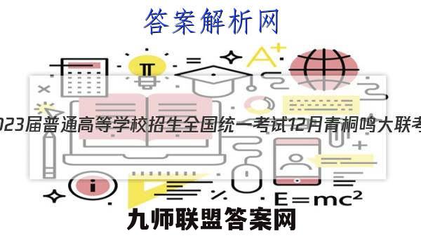 2023届普通高等学校招生全国统一考试 12月青桐鸣大联考(高三)(新教材)物理试卷答案(更新中)