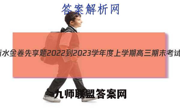 衡水金卷先享题2022-2023学年度上学期高三期末考试(湖南专版)物理试卷答案(更新中)