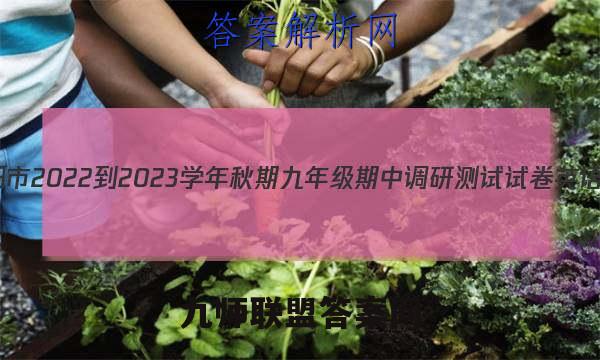 河南省南阳市2022-2023学年秋期九年级期中调研测试试卷英语试卷答案(更新中)