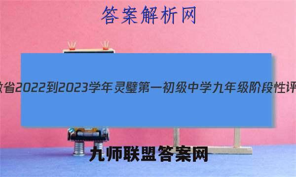 安徽省2022-2023学年灵璧第一初级中学九年级阶段性评估(三)英语试卷答案(更新中)