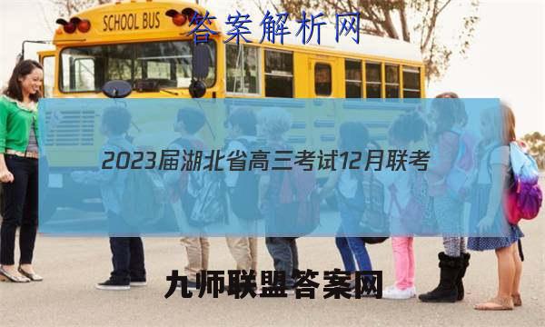 2023届湖北省高三考试12月联考(23-181C)物理试卷答案(更新中)