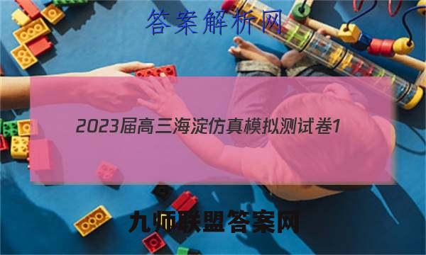 2023届高三海淀仿真模拟测试卷1(一)物理考卷答案