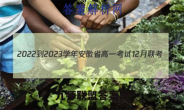 2022-2023学年安徽省高一考试12月联考(23-150A)英语试卷 答案(更新中)