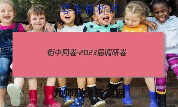 衡中同卷·2023届 调研卷 (新教材版A)(二)政治试卷 答案(更新中)