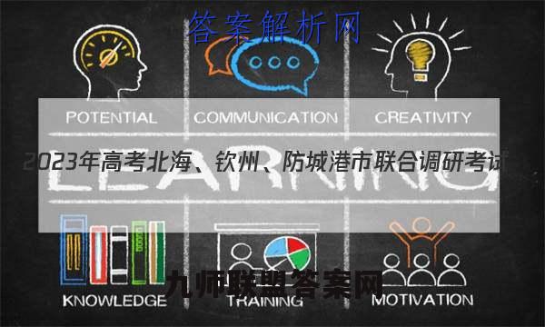 2023年高考北海、钦州、防城港市联合调研考试(2023.01)文科数学试题答案
