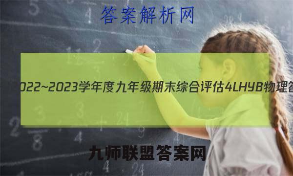 河南省2022~2023学年度九年级期末综合评估 4L HYB 物理答案