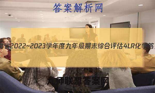 河南省2022~2023学年度九年级期末综合评估 4L R化学答案