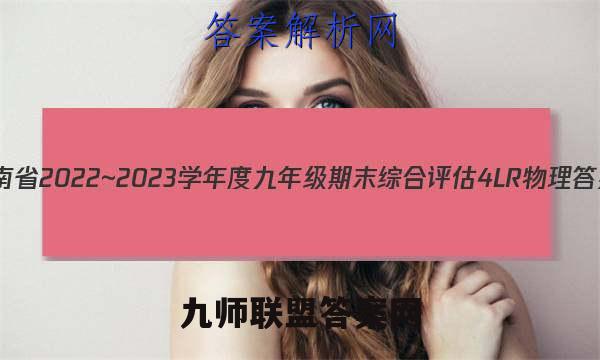 河南省2022~2023学年度九年级期末综合评估 4L R物理答案