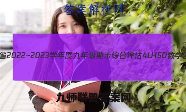 河南省2022~2023学年度九年级期末综合评估 4L HSD 数学答案