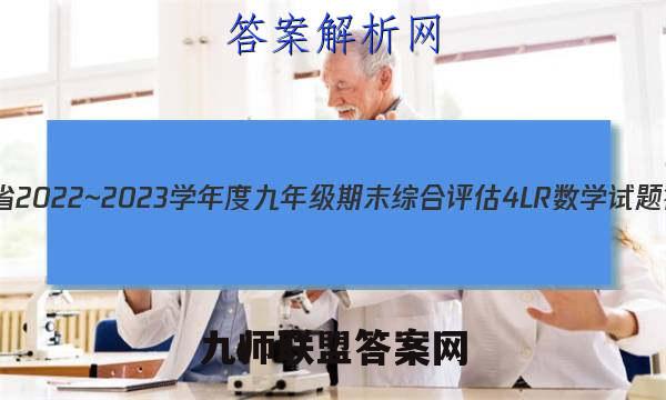 河南省2022~2023学年度九年级期末综合评估 4L R数学试题答案