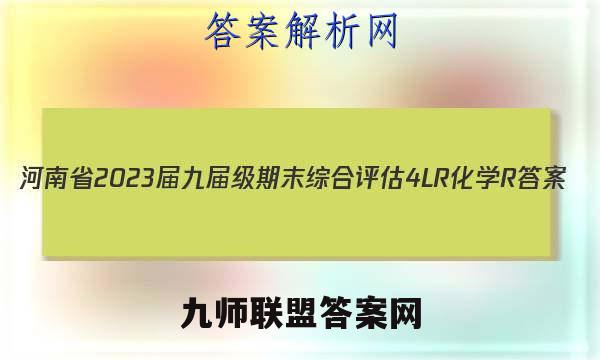河南省2023届九届级期末综合评估[4L R]化学R答案
