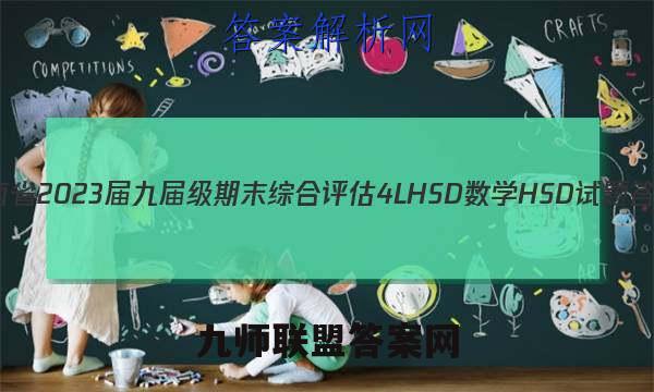 河南省2023届九届级期末综合评估[4L HSD]数学HSD试题答案