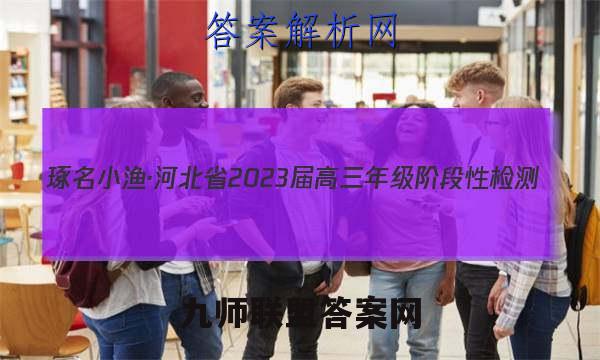 琢名小渔·河北省2023届高三年级阶段性检测(二)2文理 数学答案