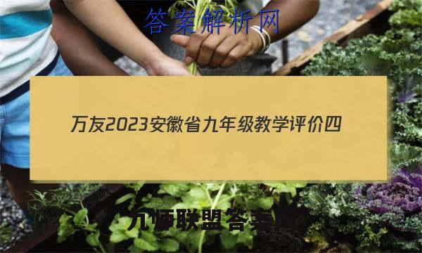 万友 2023安徽省九年级教学评价四(期末)地理答案