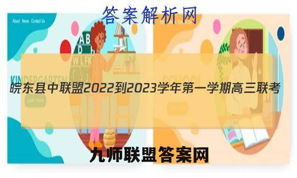 皖东县中联盟 2022-2023学年第一学期高三联考(233312D)政治试卷答案