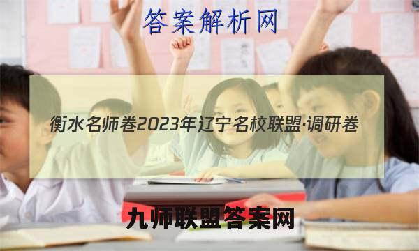 衡水名师卷 2023年辽宁名校联盟·调研卷(四)4英语试题答案